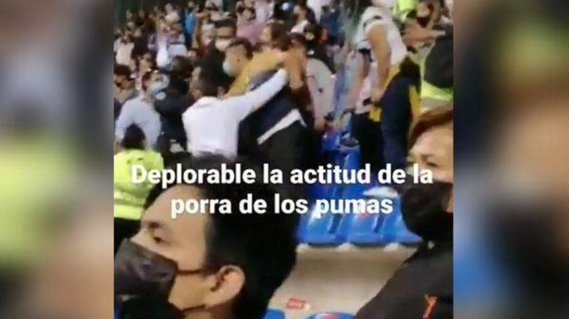 AFICIONADOS DE PUMAS